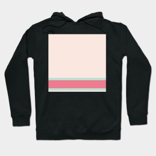 A sensational jam of Pale Chestnut, Light Blue Grey, Misty Rose and Light Coral stripes. Hoodie